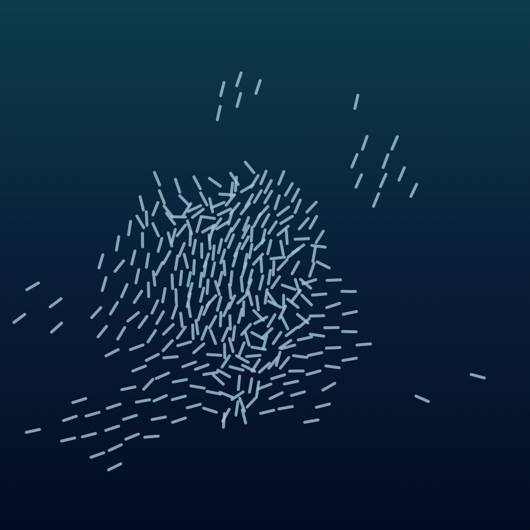 Bait Ball