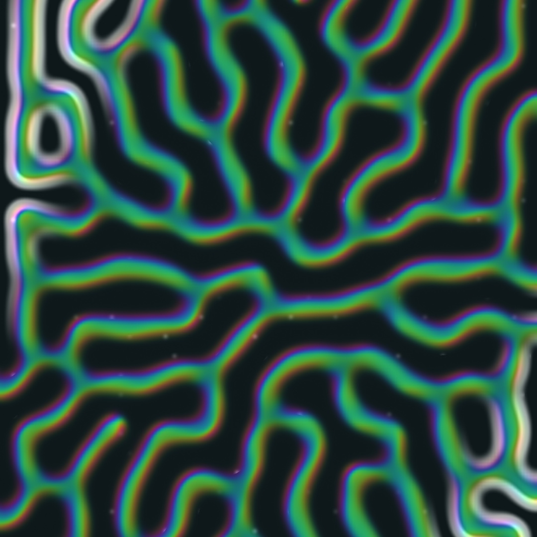 Coral Reef