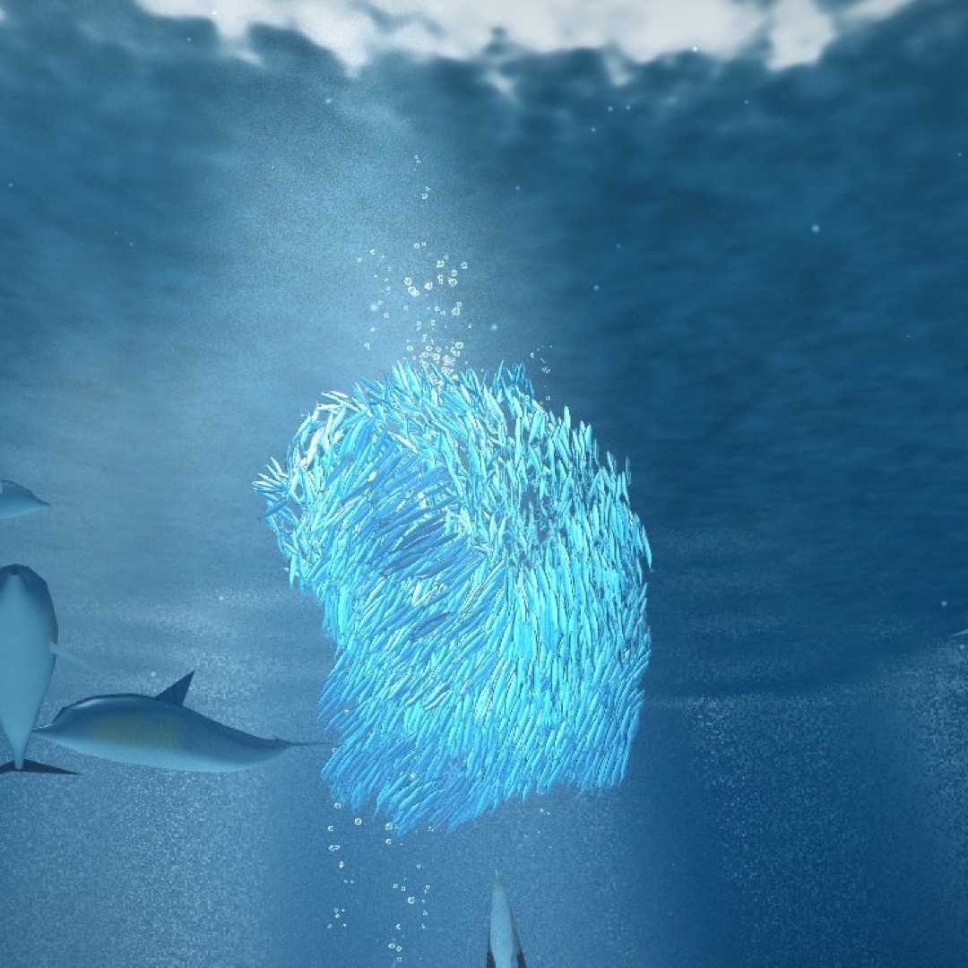 Bait Ball