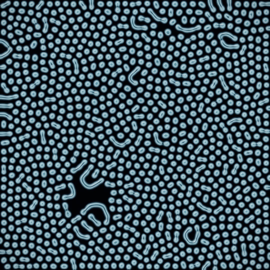 Microscopic Garden