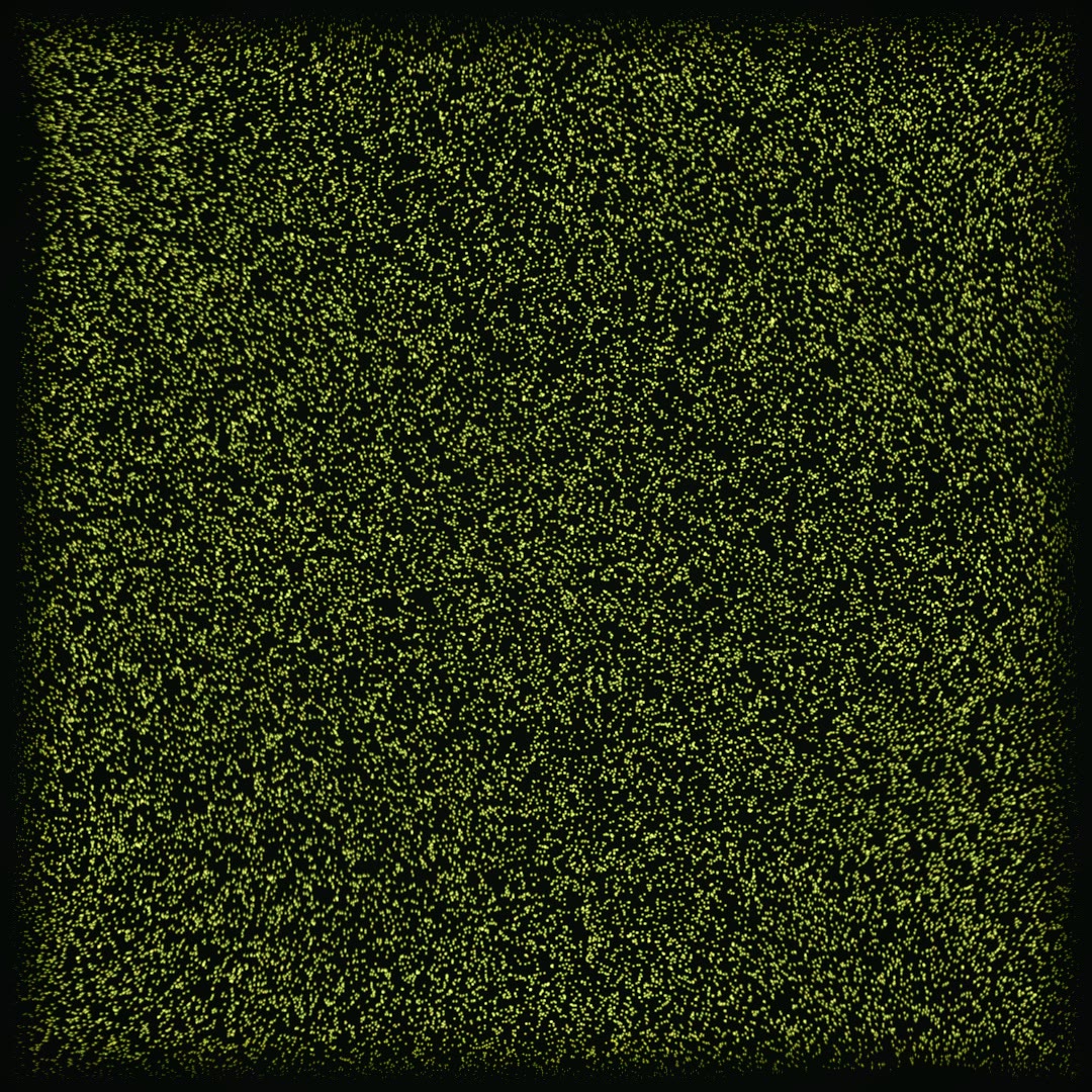 Fireflies