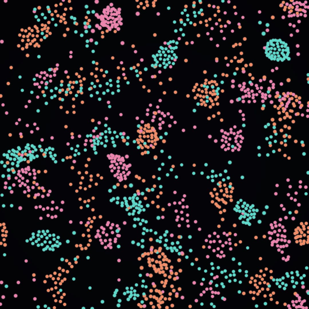 Coral Growth