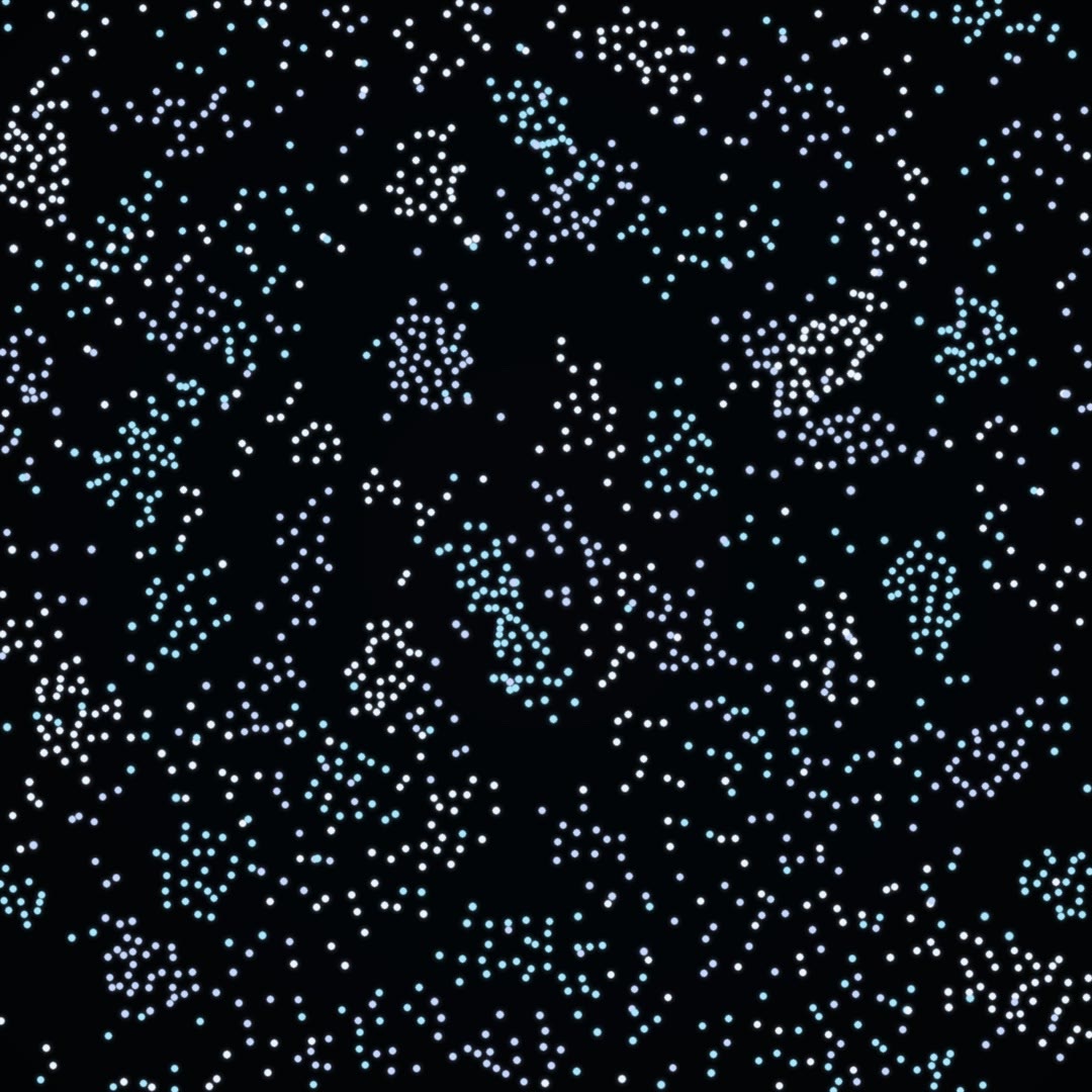 Frost Fractals