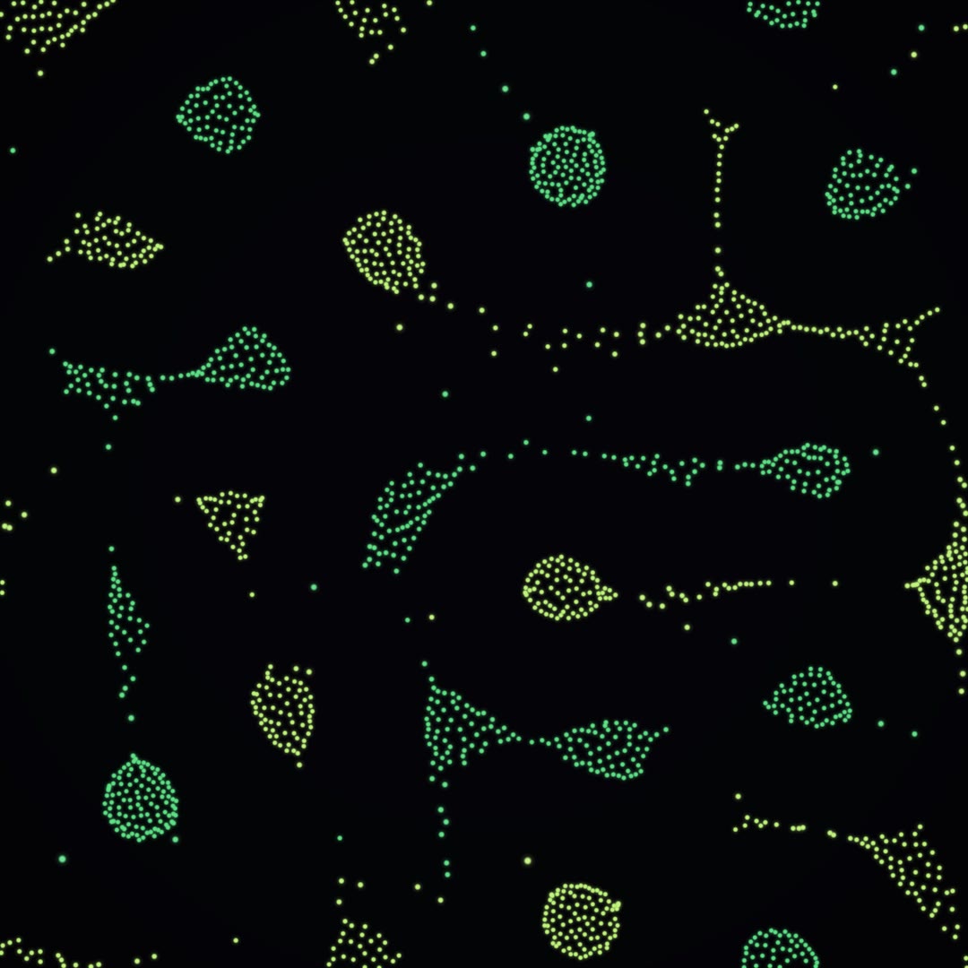 Emerald Mitosis