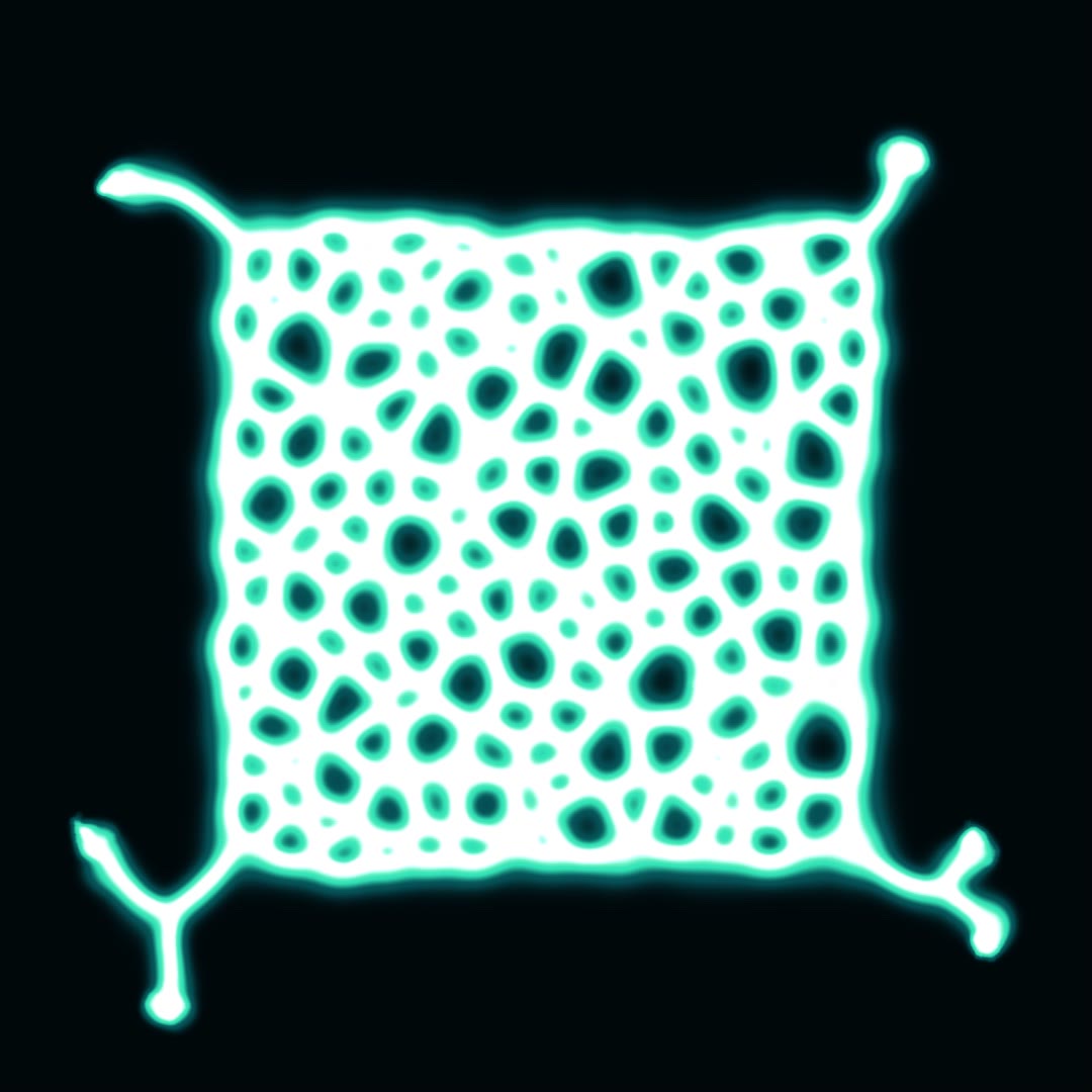 Neural Bloom
